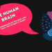 The Human Brain