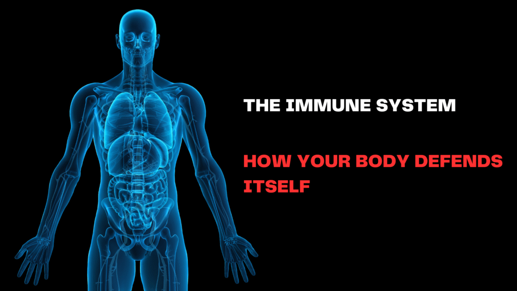 The Immune System: 1# How Your Body Defends Itself
