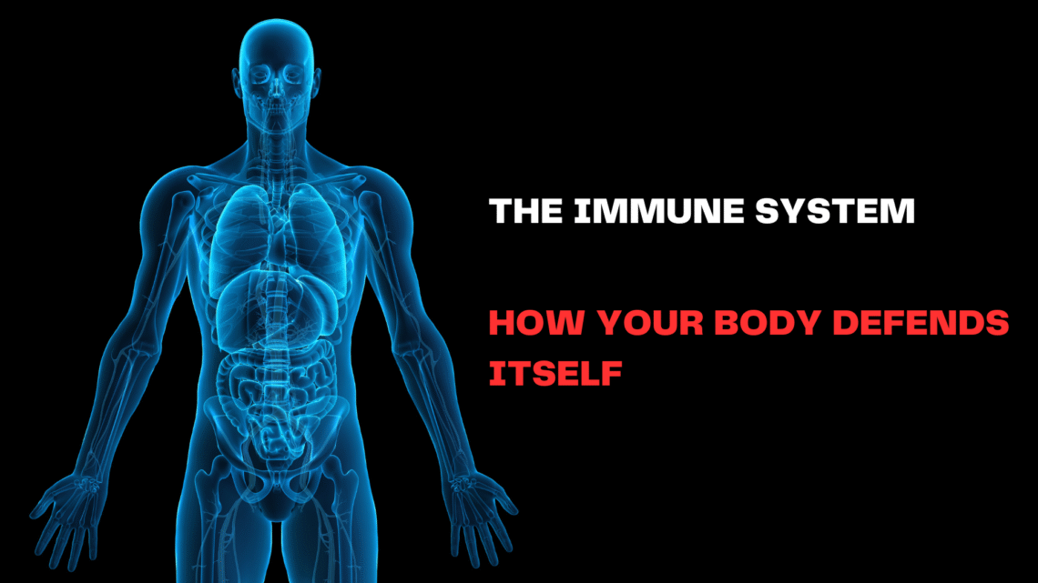 The Immune System