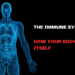 The Immune System