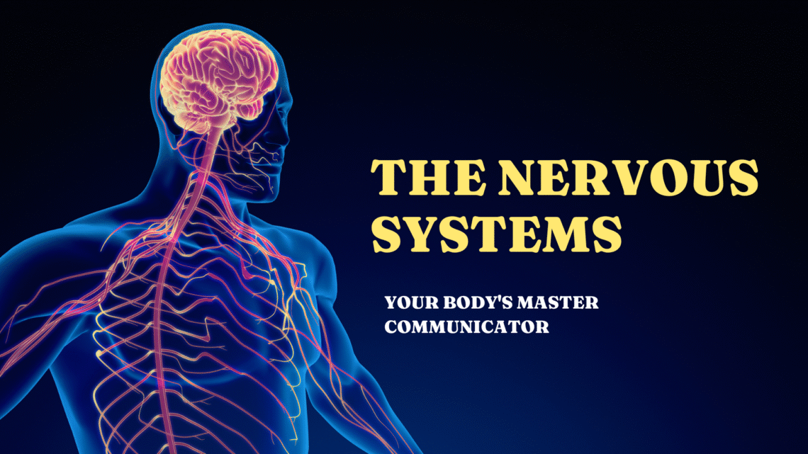 The Nervous System