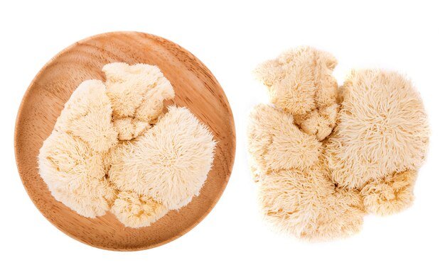 Lion’s Mane Mushroom